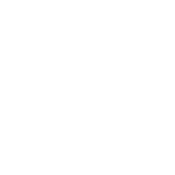 Msn logo