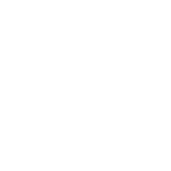 Tv2 logo